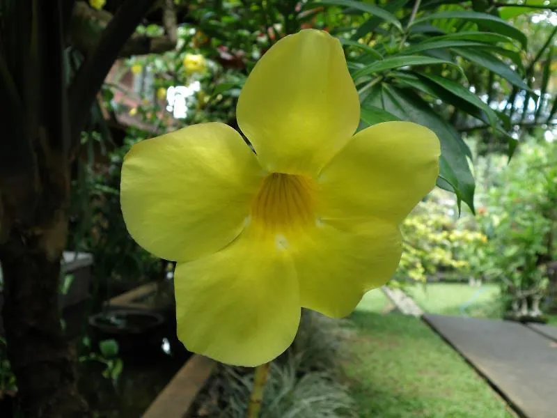 Indraprastha Home Stay location
